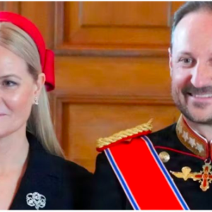 kommet bevægelse i projektet.